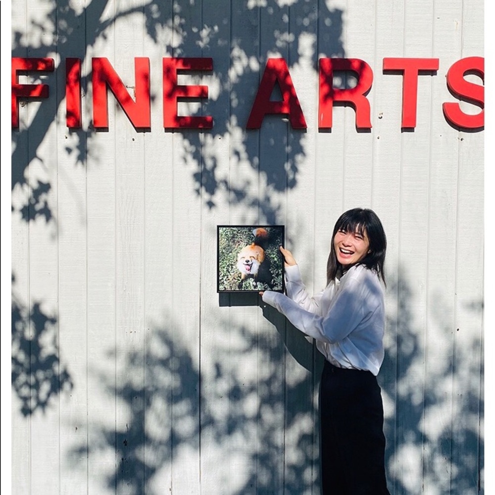 Smiling Fox - Rinoarts Collection - Picture 4 of 5